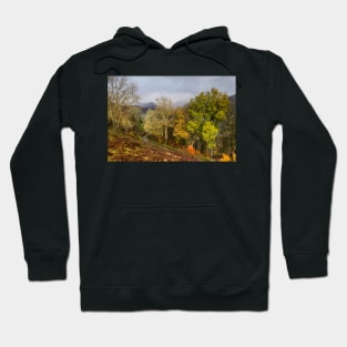 Autumn on Red Bank Hoodie